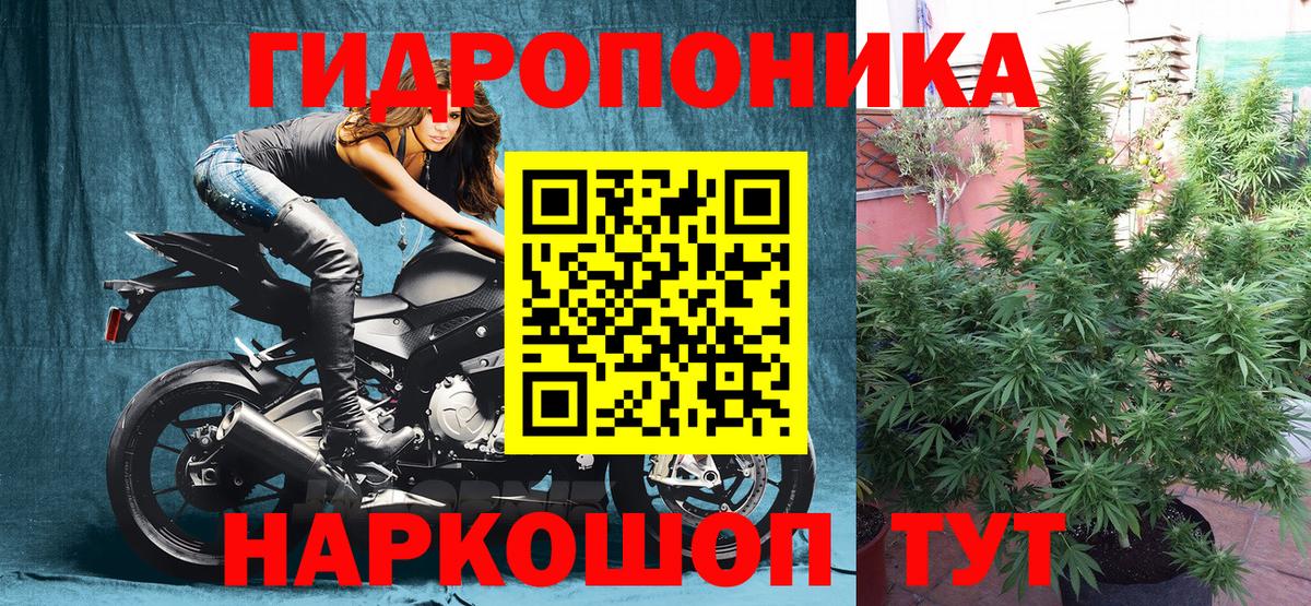 Кольчугино  Шишки марихуана ГИДРОПОН  Шишки марихуана план  Вход с VPN  Марихуана планчик 